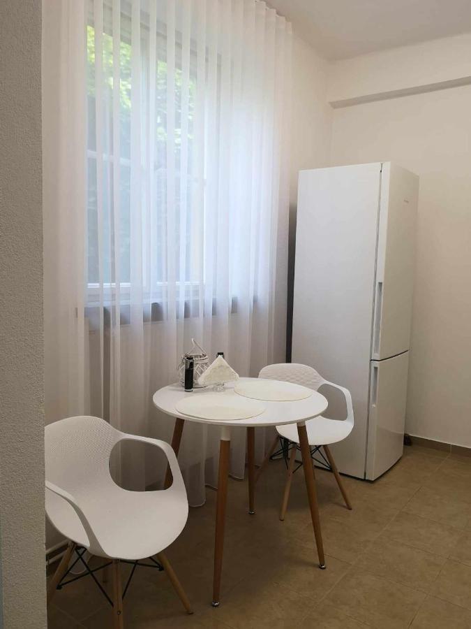 Apartman Dlouha 207 Litomerice Exterior photo